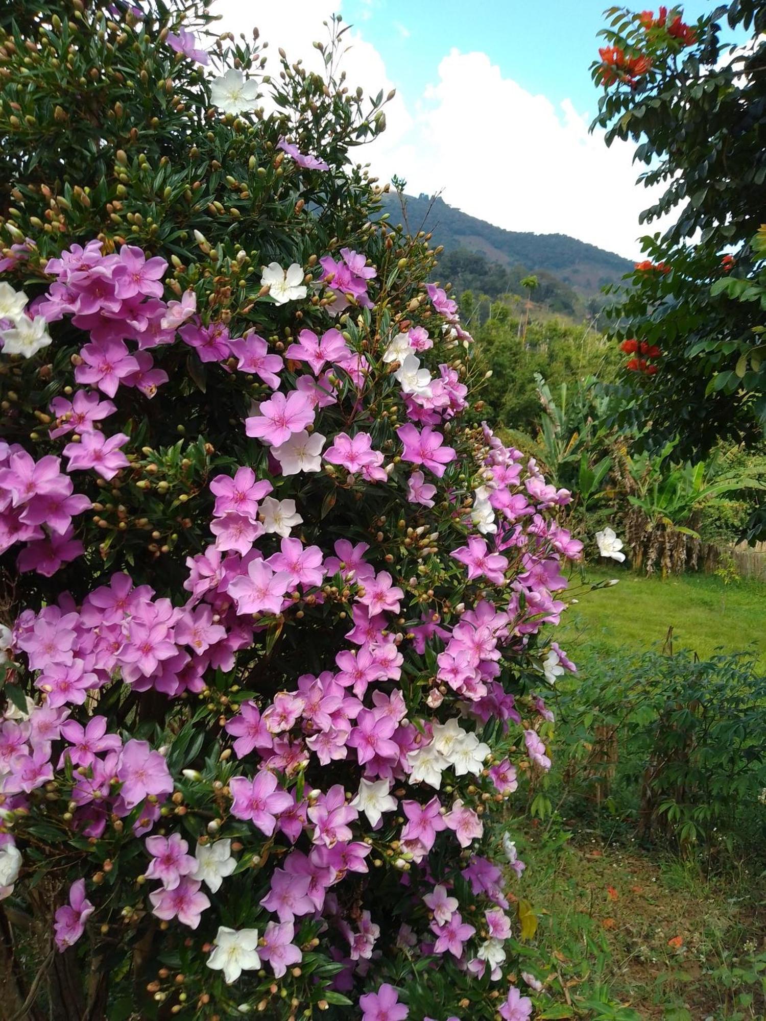 Rancho Pe Da Pedra São Bento do Sapucaí Quarto foto