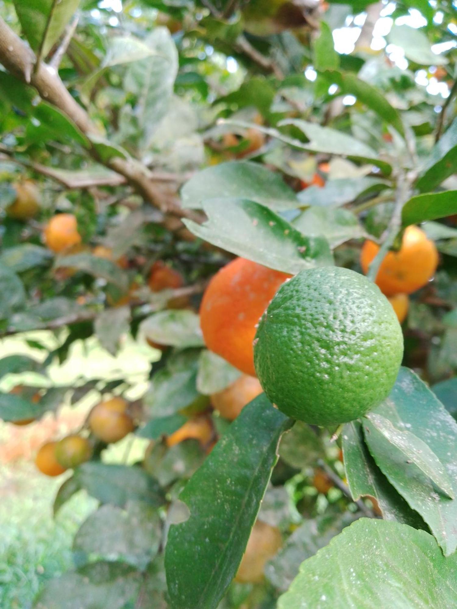Rancho Pe Da Pedra São Bento do Sapucaí Quarto foto