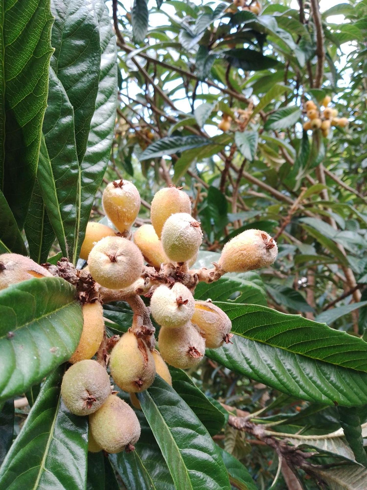 Rancho Pe Da Pedra São Bento do Sapucaí Quarto foto